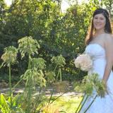 Imagen de Amarás (tu vestido)